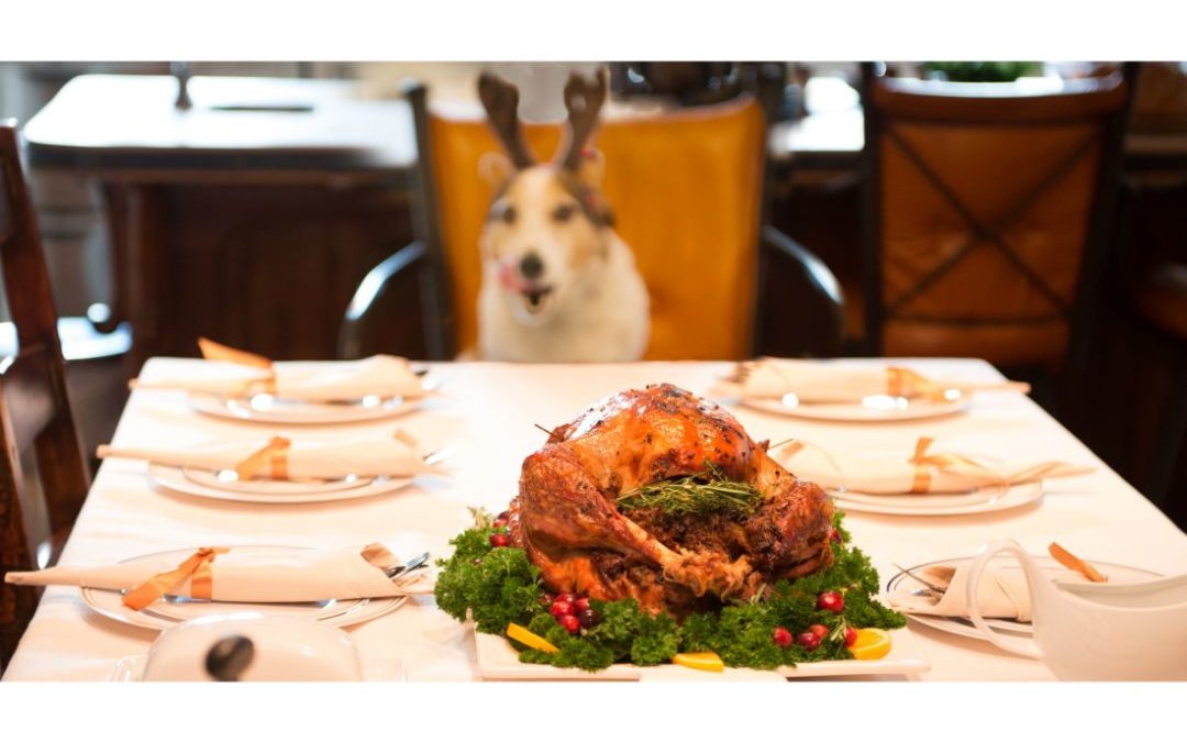 Safe Thanksgiving Foods For Pets